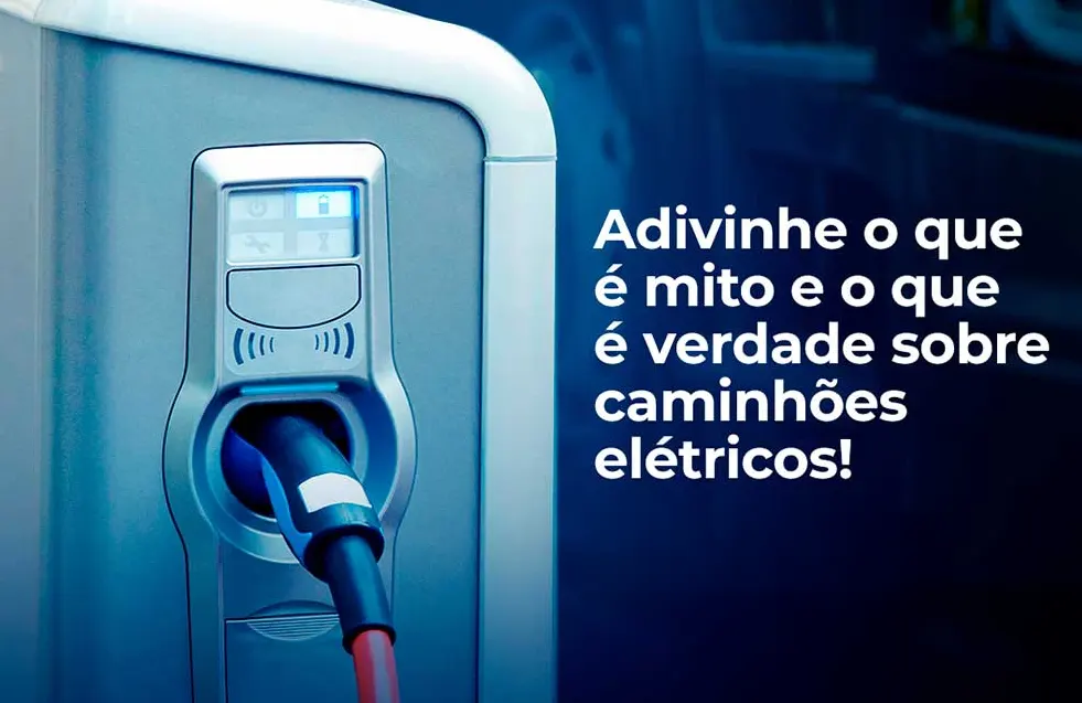 blog-suporte-rei-novidades-adivinhe-o-que-e-mito-e-o-que-e-verdade.webp